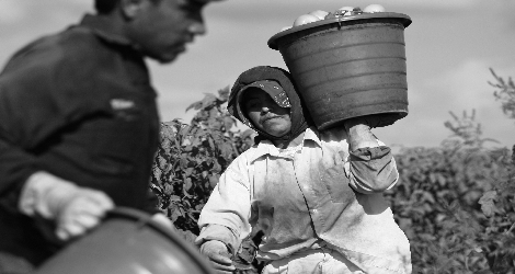 photo of farm worker