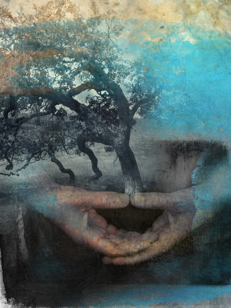 Painting of hands holding a tree