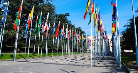photo of United Nations flags lining walkway