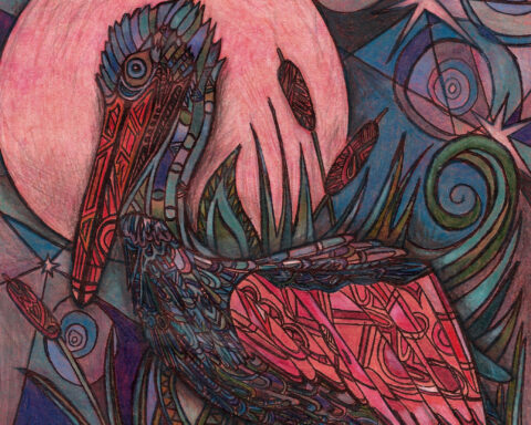 pelican by lauren wright