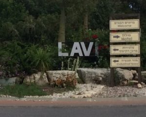 We spent the night at the Lavi Kibbutz, which today includes a luscious hotel.