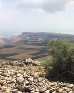 The Battle of Hattin was fought within sight of the Sea of Galilee.