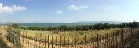 The sea of Galilee, moments from the end of our journey.
